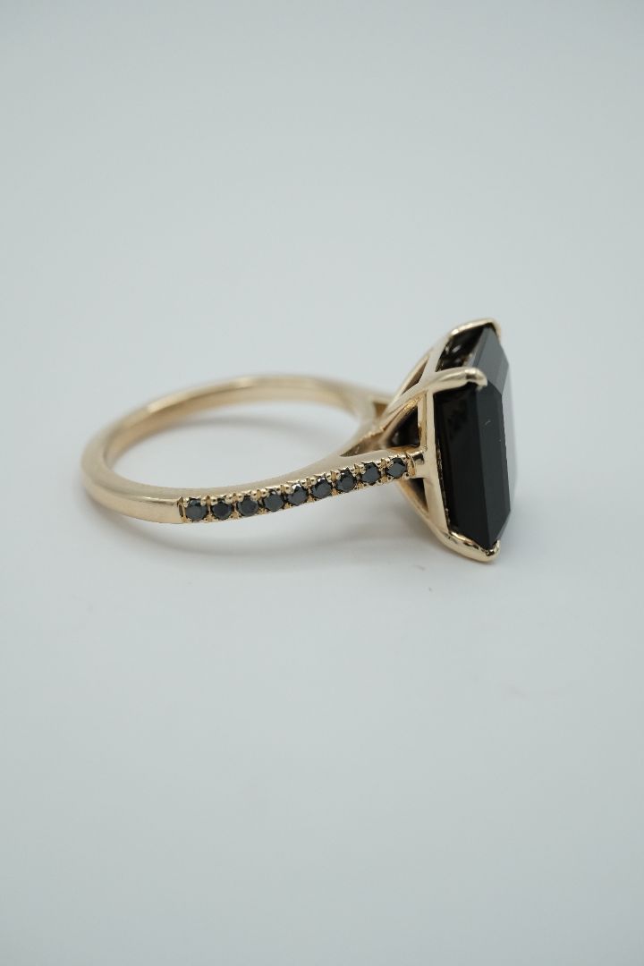 Black Beauty